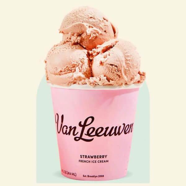 Van Leeuwen Ice Cream Strawberry