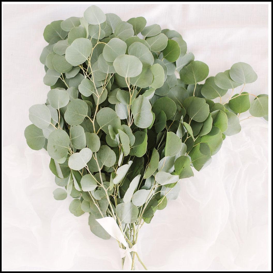 Eucalyptus One Bunch - East Side Grocery