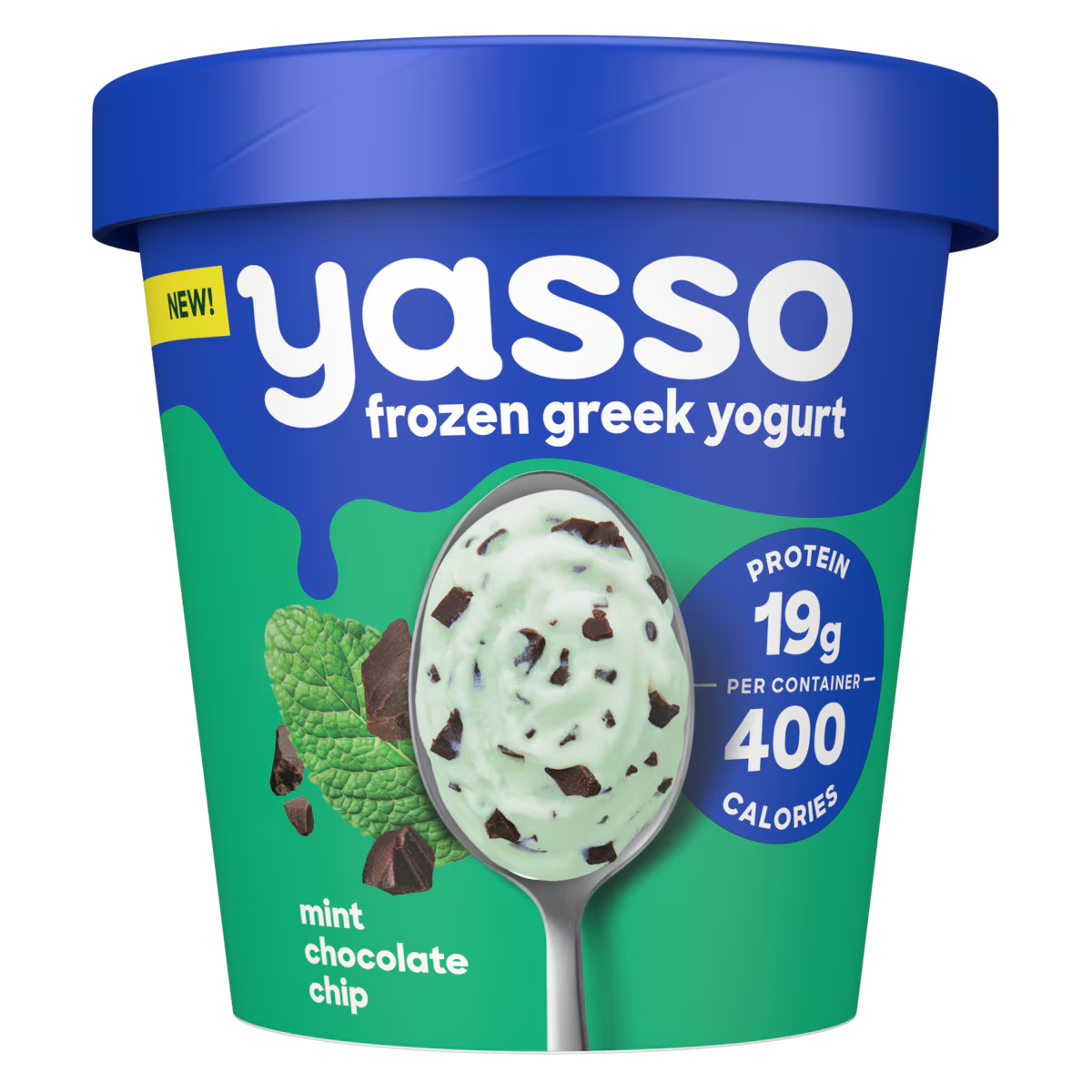 Yasso Frozen Greek Yogurt Mint Chocolate Chip 14oz.
