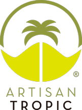 Artisan tropic Plantain Strips 4.5oz. - East Side Grocery