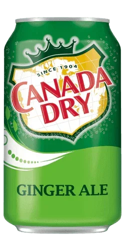 Canada Dry Ginger Ale - 12oz. Can - East Side Grocery