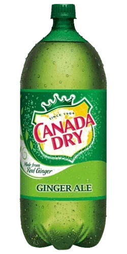 Canada Dry Ginger Ale 2 Liter - East Side Grocery