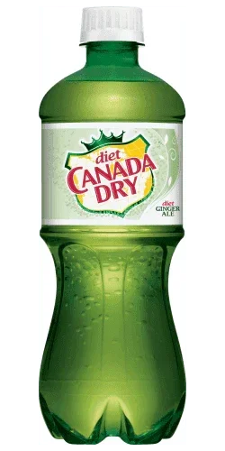 Canada Dry Ginger Ale Diet 20oz. Bottle - East Side Grocery