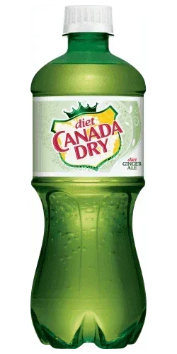 Canada Dry Ginger Ale Diet 20oz. Bottle - East Side Grocery
