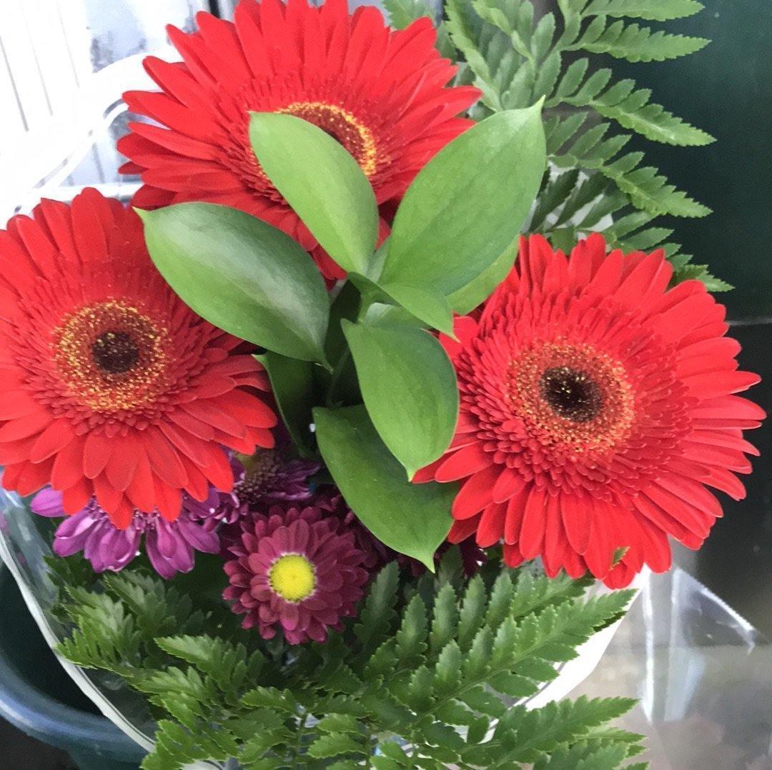 Gerbera Bouquet - East Side Grocery