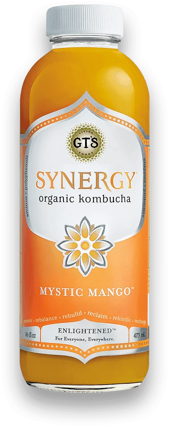 GT'S Synergy Kombucha Mystic Mango 16oz. - East Side Grocery