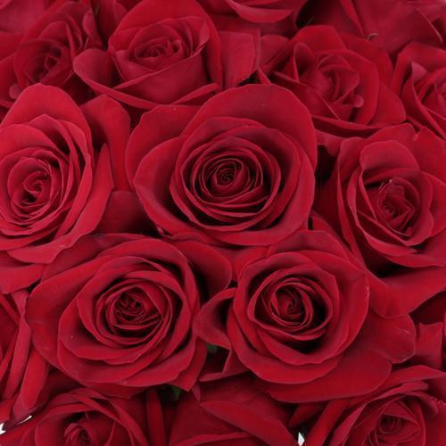 Red Roses One Dozen - East Side Grocery