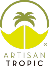 Artisan tropic Plantain Strips 4.5oz. - East Side Grocery