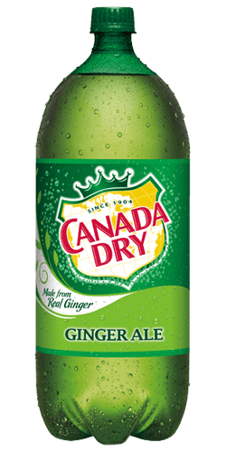 Canada Dry Ginger Ale 2 Liter - East Side Grocery