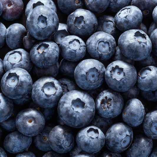 Fresh Blueberry 16oz. - East Side Grocery