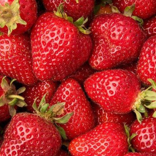 Fresh Strawberry 16oz. - East Side Grocery