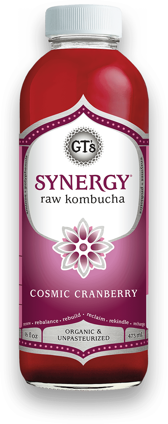 GT'S Synergy Kombucha Cosmic Cranberry 16oz. - East Side Grocery