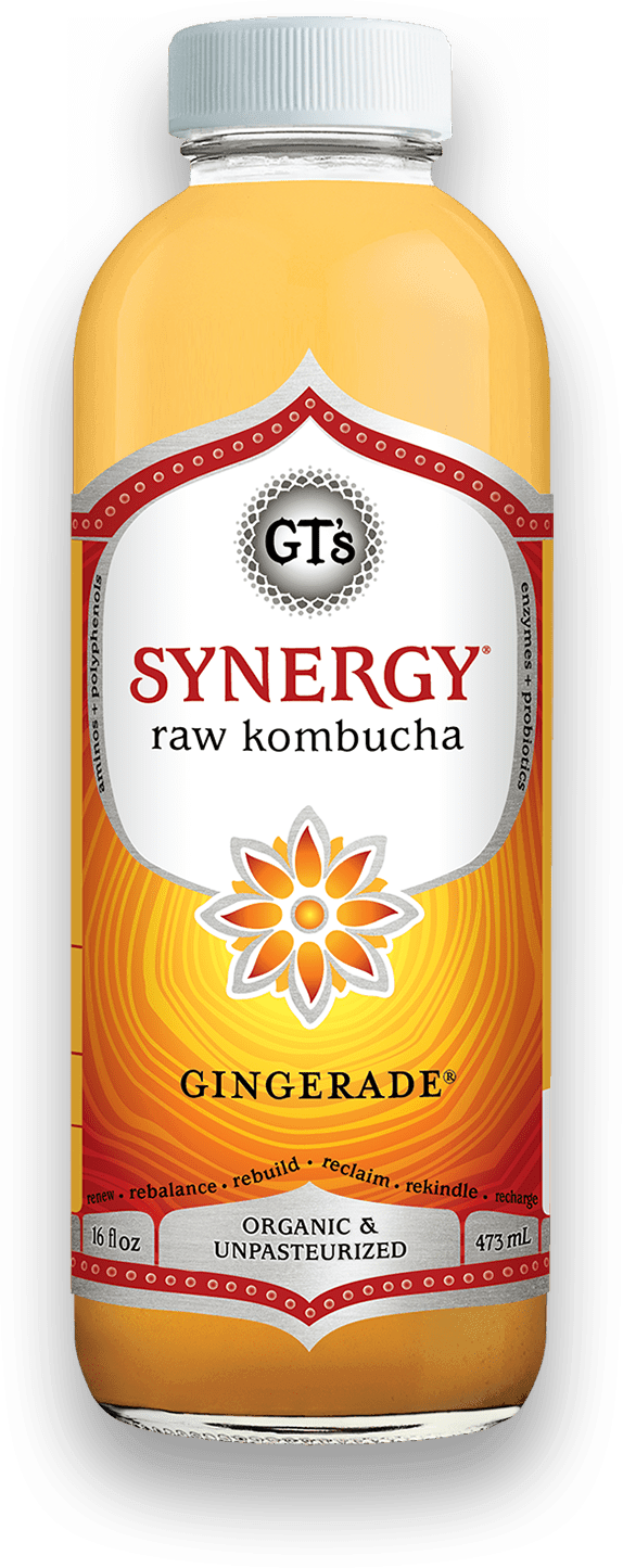 GT'S Synergy Kombucha Gingerade 16oz. - East Side Grocery