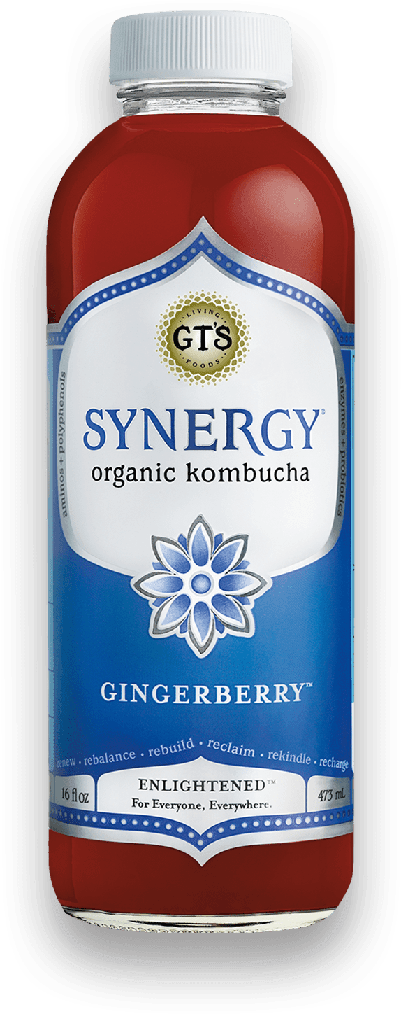 GT'S Synergy Kombucha Gingerberry 16oz. - East Side Grocery