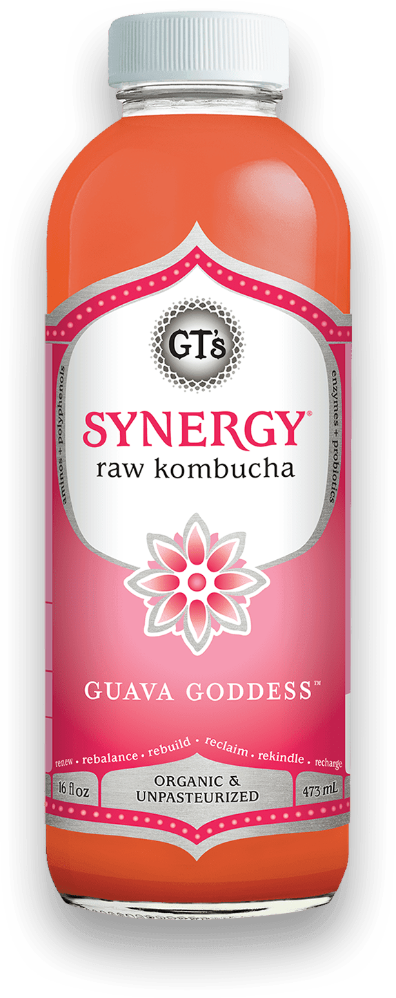 GT'S Synergy Kombucha Guava Goddess 16oz. - East Side Grocery