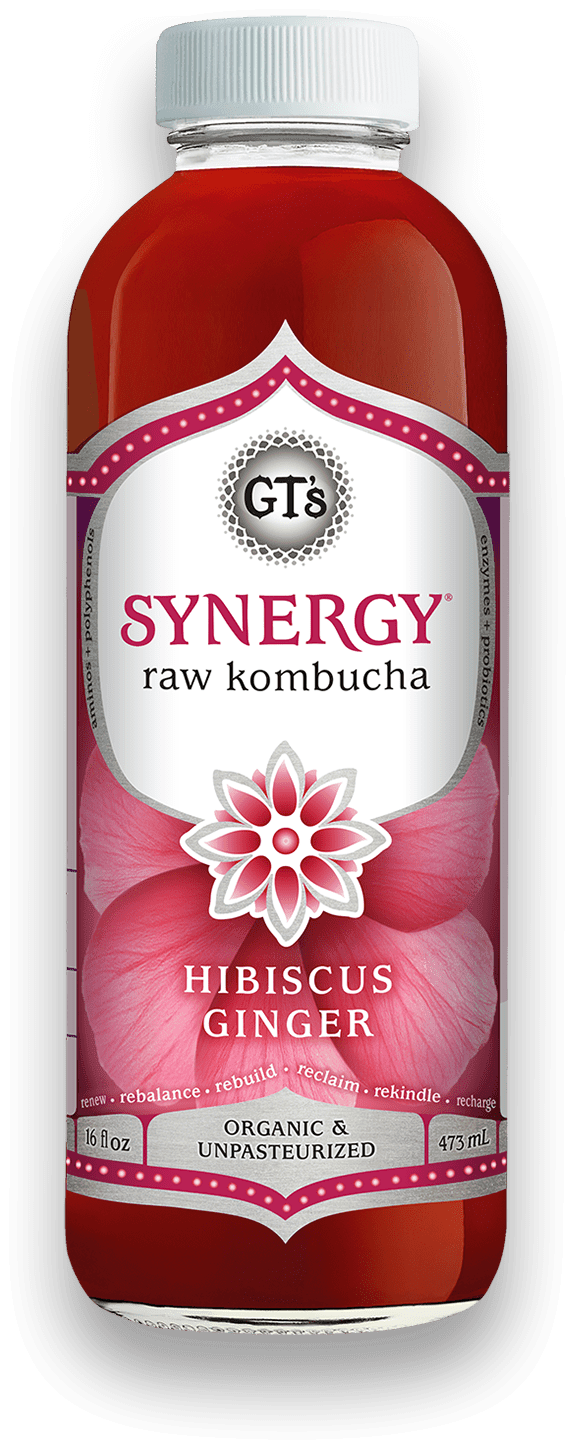 GT'S Synergy Kombucha Hibiscus Ginger 16oz. - East Side Grocery