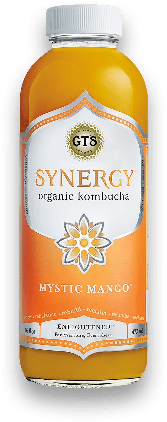 GT'S Synergy Kombucha Mystic Mango 16oz. - East Side Grocery