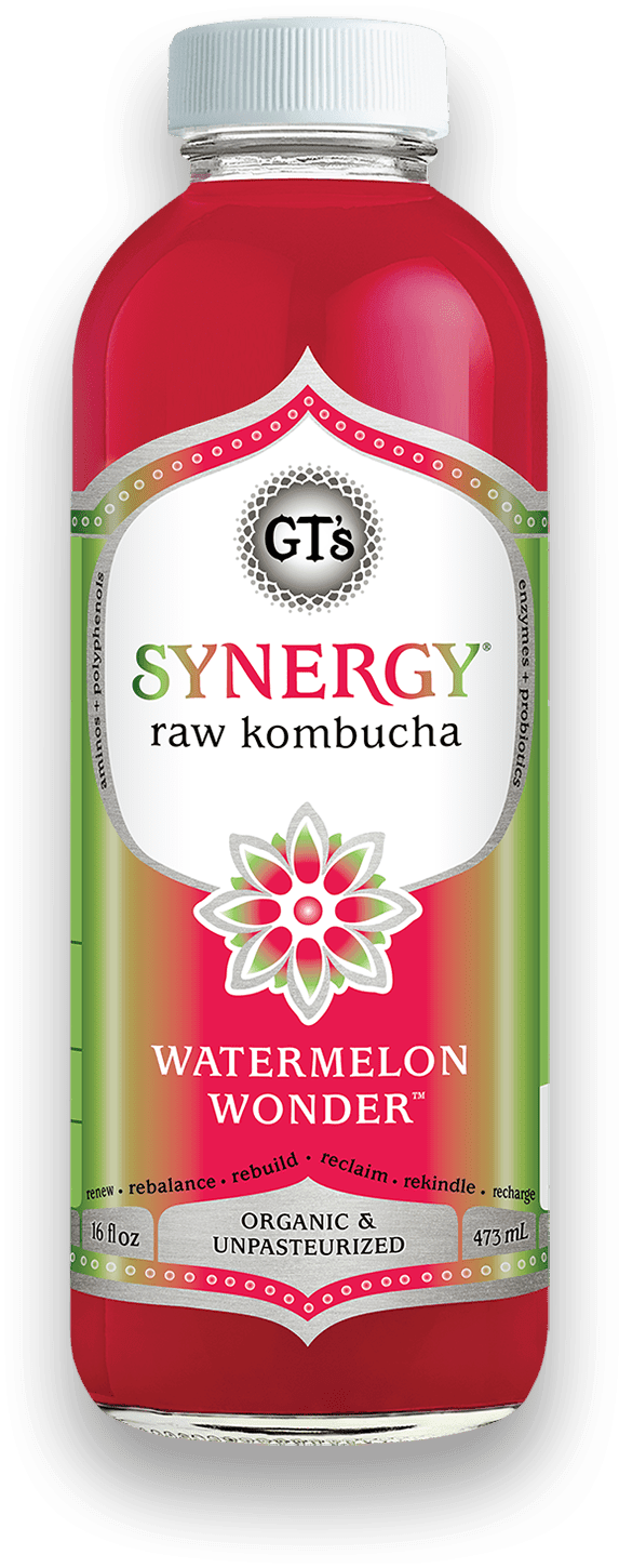 GT'S Synergy Kombucha Watermelon Wonder 16oz. - East Side Grocery